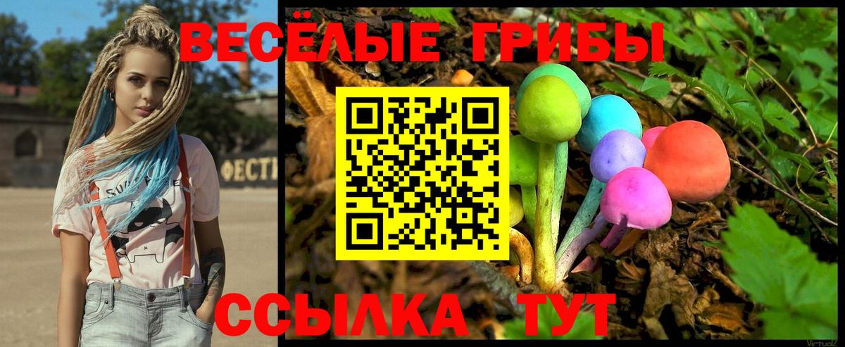 Галлюциногенные грибы GOLDEN TEACHER Мирный