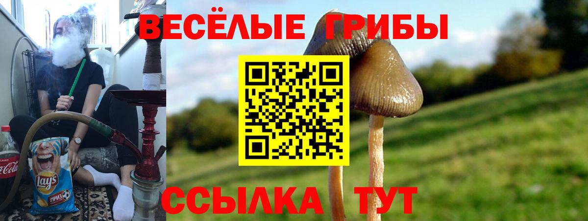 Галлюциногенные грибы мухоморы  Псилоцибиновые грибы Cubensis  Мирный  Вход с VPN 
